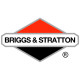 Двигатели Briggs-Stratton в Калуге Двигатели Briggs-Stratton в Калуге